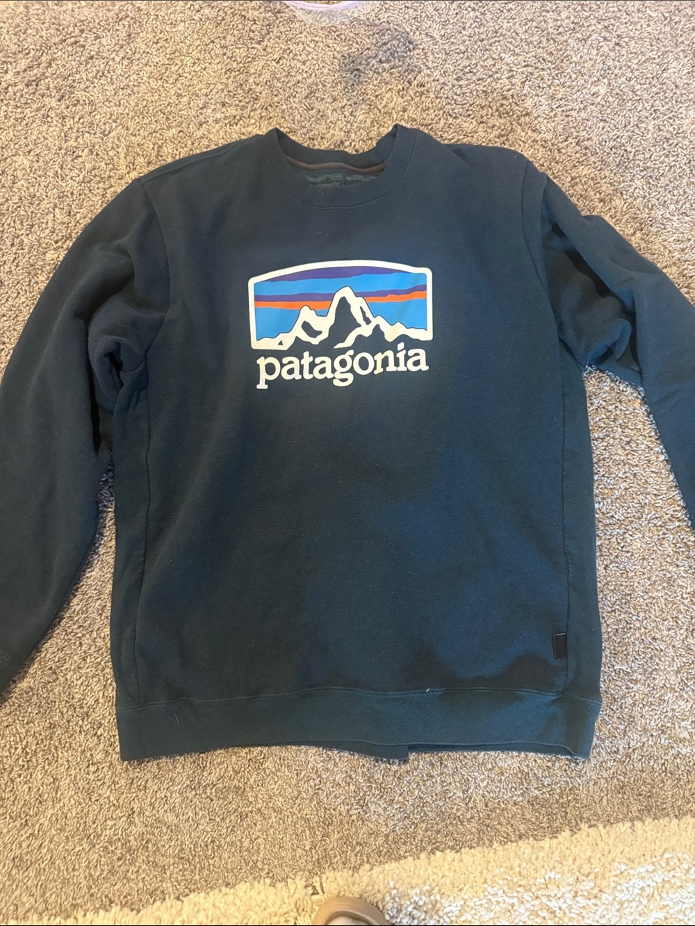 Patagonia Crewneck Sweatshirt in Black with Multicolor Logo